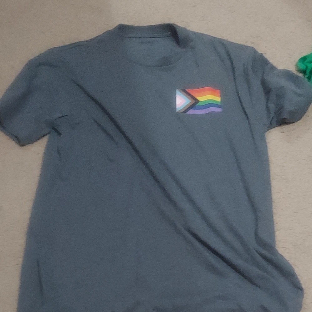 Men's Pride Flag Graphic Tee - Gray